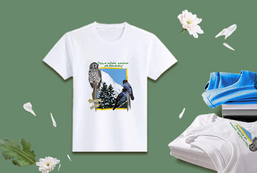 AlpineBirding’s classic-version T-shirt