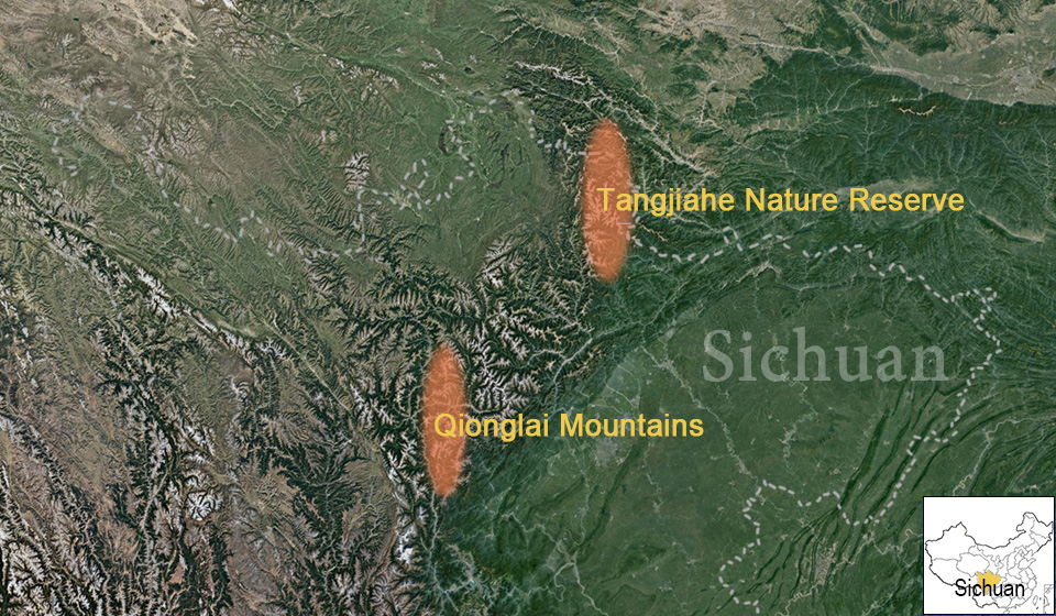 Co007-202609.jpg